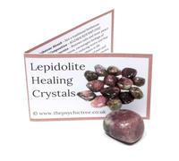 Lepidolite Polished Tumblestone Healing Crystals Crystal With Guide & Bag