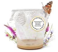 LEPITERRA® Caterpillar Cup - Caterpillar Refill Set - 1 Caterpillar Cup (Approx. 7 Caterpillars) | Ideal Addition to Butterfly Habitat | Breeding Butterflies [Success Guarantee] | Domestic Thistle