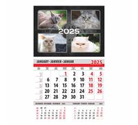 lepni.me Angry Cat Calendar 2026 1 Month View | Do Not Disturb Me Mood | Calendars for Cats lovers and Animals Lovers Fans | 2026 12 Month Мonthly 365 Day Planner