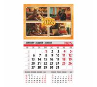 lepni.me Cat Emotions Modern Calendar 2026 1 Month View | Business and Daily Activities, Work Time | Calendars for Cats lovers and Animals Lovers Fans | Funny Gift 2026 365 Day Planner