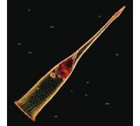 LEPROUS - MELODIES OF ATONEMENT - CD - 23 - A15z