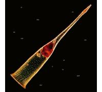 Leprous - Melodies Of Atonement [Vinyl LP] [VINYL]