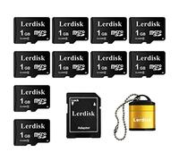 Lerdisk Factory Wholesale Micro SD Card 1GB Pack of 10 in Bulk MicroSD C4 with SD Adapter Produced by Authorized Licencee (1GBX10)