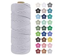 LEREATI Macrame Cord 2mm x 100m, Thick Macrame Rope Natural Cotton Rope Craft String, 3 Strand Twisted Cotton Cord Yarn for DIY Plant Hanger, Wall Hanging, Christmas Decoration (Light gray)
