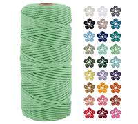 LEREATI Macrame Cord 3mm x 100m, Thick Macrame Rope Natural Cotton Rope Craft String, 4 Strand Twisted Cotton Cord Yarn for DIY Plant Hanger, Wall Hanging, Christmas Decoration (Aqua green)