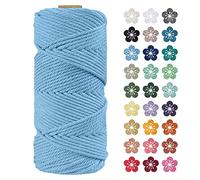 LEREATI Macrame Cord 4mm x 100m, Thick Macrame Rope Natural Cotton Rope Craft String, 4 Strand Twisted Cotton Cord Yarn for DIY Plant Hanger, Wall Hanging, Christmas Decoration (Sky blue)