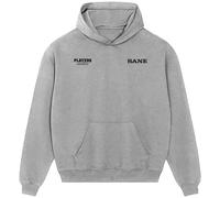 Leroy Sane Logo Men's Hoodie - Gray / M
