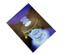 Lerpwige Coin Tricks Fun Toys Reusable Coin Penetration Film Amazing For Adult Kid For Kids Boys Girls Adults