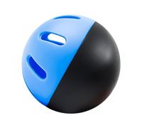 Lerpwige Practice Ball Training Baseballs Set Limited Flight Hollows Softballs Batting Hitting Ball for Pitching Training Baseball Practice