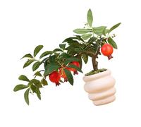 Lerpwige Realistic Fruit Tree Bonais Artificial Interior Design Decorative Art Pot Ornament Table Centrepieces