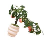 Lerpwige Realistic Fruit Tree Bonais Artificial Interior Design Decorative Art Pot Ornament Table Centrepieces