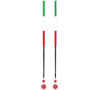 Les batons d'Alain - Backcountry ski poles - Italie - Size 135 cm - Green Green 135 cm