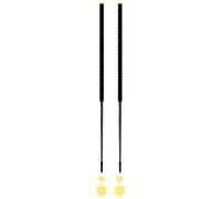 Les batons d'Alain - Ski touring poles - Aigle 2025 - Size 135 cm - Black Black 135 cm