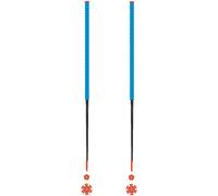 Les batons d'Alain - Ski touring poles - Azur in Aluminium - Size 125 cm - Blue Blue 125 cm