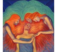 Les Big Byrd - Diamonds, Rhinestones and Hard Rain [VINYL]