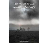 Les brumes du soir rejaillissent à l’aube