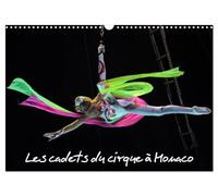 Les cadets du cirque à Monaco (Calendrier mural 2026 DIN A3 vertical), CALVENDO calendrier mensuel: New Generation est le spectacle consacré aux ... ... du Cirque de Monte-Carlo, les futurs stars.