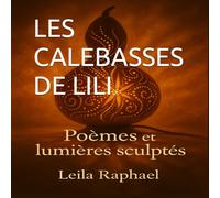 LES CALEBASSES DE LILI: Poèmes et lumières sculptés