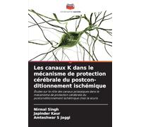 Les canaux K dans le mécanisme de protection cérébrale du postcon-ditionnement ischémique: Études sur le rôle des canaux potassiques dans le mécanisme ... postconditionnement ischémique chez la souris