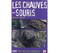 Les Chauves-Souris - DVD la Vie a l'Envers
