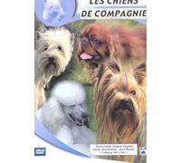Les chiens de compagnie