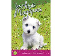 Les chiots magiques - numéro 06 À la belle étoile