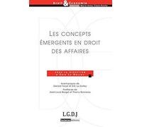 les concepts émergents en droit des affaires: SOUS LA DIRECTION DE ERIK LE DOLLEY