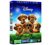 Les copains dans l'espace, Les copains des neiges, 5 toutous prêts a tout