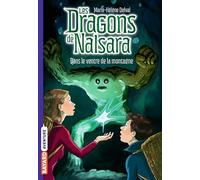 Les dragons de Nalsara, Tome 12: Dans le ventre de la montagne