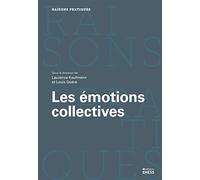 Les émotions collectives: En quête d'un "objet" impossible