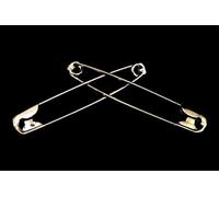 Les Epingles ou la Chambre Noire (Gimmick + DVD) (Dominique Duvivier)