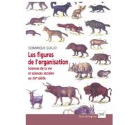 Les figures de l'organisation: Anatomie comparée, sociologie et anthropologie au XIXe siècle