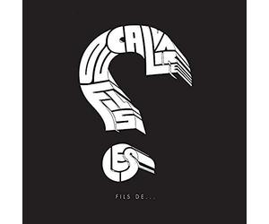 Les Fils Du Calvaire - Fils De... [VINYL]