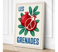 Les Grenades Vintage Canvas Wall Art Print 36x24 Inch