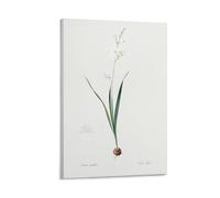 Les Liliacees 1805 HQ Orig(3) Poster Floral Canvas Art Painting Office Home Wall Decor Gifts 24x36inch(60x90cm)