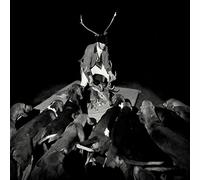 Les Marquises - Night Full of Collapses