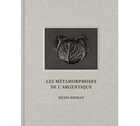 Les Métamorphoses de l'argentique - Denis Brihat