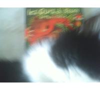 Les Ours du Scorff - Le Plus Mieux