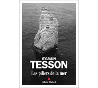 Les Piliers de la mer: Roman