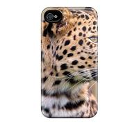 Les Plus Beaux Arrets Du Monde