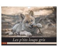 Les p'tits loups gris (Calendrier mural 2026 DIN A4 vertical), CALVENDO calendrier mensuel: Petit loup deviendra grand ...