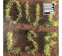 Les Savy Fav - OUI, LSF LP bloodshot