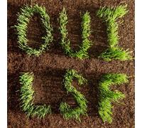 Les Savy Fav - OUI, LSF