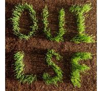 LES SAVY FAV - OUI LSF - CD - M3z