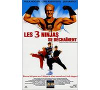 Les trois ninjas se dechainent [VHS]