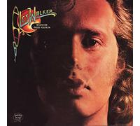 Les Walker - Whatever Mood You re In