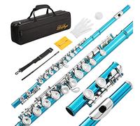 LeSage Closed Hole C Flute 16 Key Blue Flute for Beginner Starter Student with Case, Maintenance Kit, Cleaning Cloth, Band C Foot Offset G Y-arm
