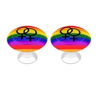 Lesbian Pride LGBT Flag Cute Drawer Handle 2 Pack Kitchen Cabinet Pulls Cabinet Knobs Door Handles
