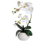 LESING Artificial Potted Orchid Flower for Table Centerpieces,Real Touch White Fake Orchid Flowers in Vase for Home Decoration (Style 5,White)