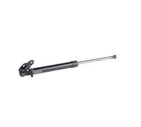 LESJÖFORS 8192562 Tailgate strut